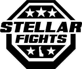 Stellar Fights